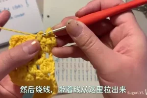 零基础钩针编织教程：视频+PDF教材，手把手学会钩针技巧