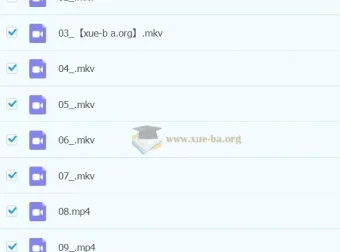 2023春上小学语文二年级A+于戈子琦课程资料合集