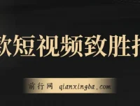 爆款短视频致胜招法：从菜鸟到高手的实战进阶课