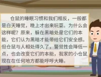云舒写小学5-6年级写作素材课程：每日一段，轻松掌握高分作文技巧