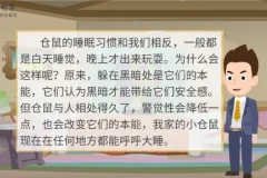 云舒写小学5-6年级写作素材课程：每日一段，轻松掌握高分作文技巧