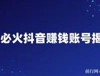 抖音必火：赚钱账号揭秘课