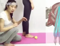 四阶段高级体态训练：定制课程全面改善体态