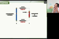2024高三生物押题班·徐京精讲：核心考点与高考冲刺全攻略