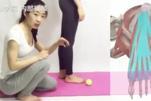 四阶段高级体态训练：定制课程全面改善体态