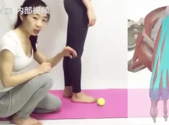 四阶段高级体态训练：定制课程全面改善体态