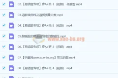 2024初三中考化学 杨雯智 A+ 寒假班（春上）系统课程