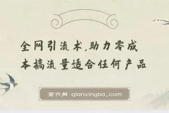 零成本全网引流术，适合任何产品的流量获取实战课程