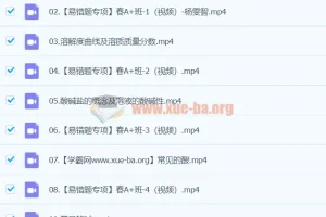 2024初三中考化学 杨雯智 A+ 寒假班（春上）系统课程