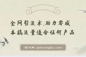 零成本全网引流术，适合任何产品的流量获取实战课程
