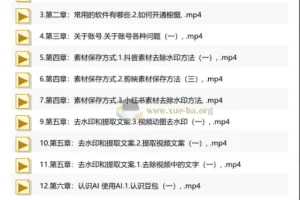 AI零基础实操读书卡：从入门到变现的全流程视频教程
