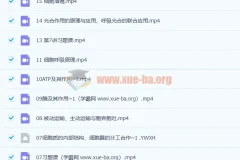 任春磊 2023 高一生物 暑假班 秋季班