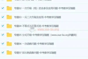 中考数学压轴题专题训练合集（原卷+解析版）