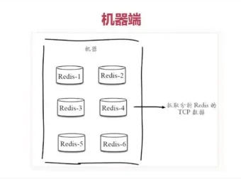 Redis从入门到高可用：一站式分布式实战指南