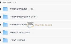 杨藩博士汉字硬笔书写速成课（完整版）