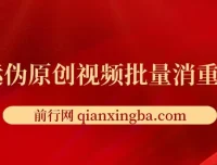 搬运伪原创视频批量消重工具 视频去重处理实用软件