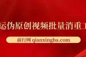 搬运伪原创视频批量消重工具 视频去重处理实用软件