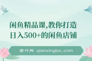 闲鱼精品课：从零到日入500+的店铺运营全攻略，实操详解一看就会