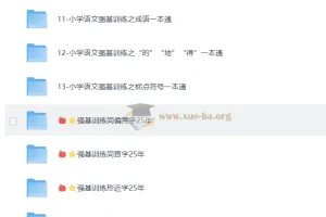 小学语文强基训练：成语、同音字、形近字等基础专项一本通