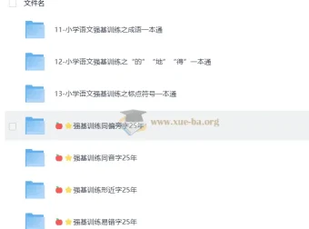 小学语文强基训练：成语、同音字、形近字等基础专项一本通