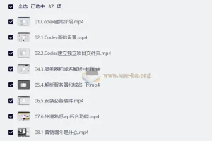 外贸人Codex+WordPress独立站建站与SEO实战课