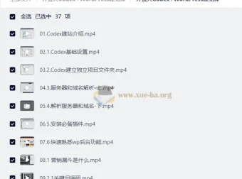 外贸人Codex+WordPress独立站建站与SEO实战课