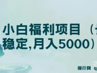 搏金汇第26课：小白福利项目，长久稳定月入5000实操指南