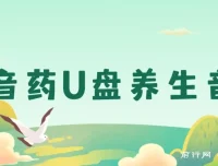 健康养生细分赛道，音药U盘养生音乐项目，零基础可批量操作月入过万