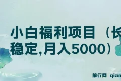 搏金汇第26课：小白福利项目，长久稳定月入5000实操指南