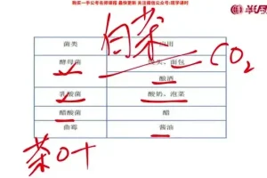 2025国考常识速成攻略：7节精讲课程+配套讲义，高效备考首选