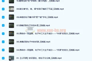 王芳好芳法攻克汉语语法难关 系统视频课程