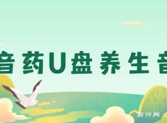 健康养生细分赛道，音药U盘养生音乐项目，零基础可批量操作月入过万