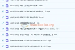 平说书法硬笔习字150集视频课程 一对一跟踪点评教学
