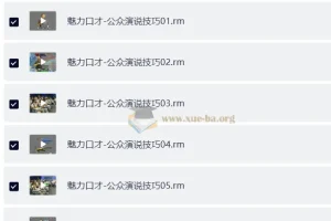 李真顺魅力口才：公众演说技巧六讲实战教程