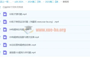 2024高中物理高二寒假班 谢丽荣精讲电磁感应与粒子运动