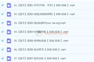 2024中考语文语言文字运用一本通（完结）系统课程