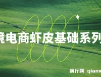 跨境电商虾皮基础系列课程：从开店入驻到运营推广的全流程实战教学