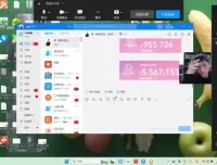 2024淘宝开店运营实战：直通车优化与全店动销系统课程