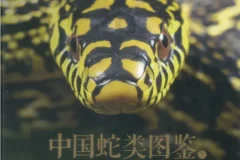 中国蛇类图鉴上下册：245种野生蛇类全收录，鳞片特征与生态影像完整呈现