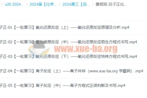 2024高三化学一轮复习 吕子正化学暑假班 氧化还原与离子反应专题精讲