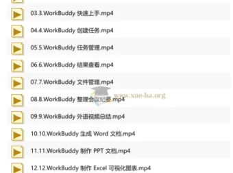 WorkBuddy职场提效应用实战：从入门到精通的全流程AI办公技能课