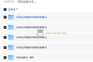 许跃远脉诊全集｜脉学大师研修班视频+脉象图解+诊断技巧