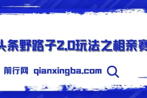 微头条野路子2.0相亲赛道玩法，无脑搬运复制粘贴，单账号日入300+实操教程