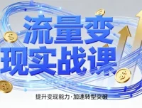流量变现实战课：4步入局系统教学，助你实现时间价值10倍跃升