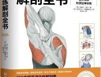 拉伸训练解剖全书：100余幅高清动作解剖图，科学制定个性化拉伸方案