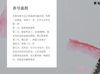 小红书宝宝起名副业实战：一键操作+专业软件
