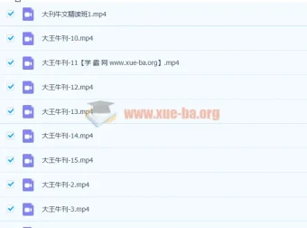 大王卡大刊牛文精讲班第四季完结课程