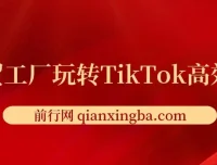 外贸工厂TikTok高效获客全攻略：账号定位、爆款打造与多维度引流实战课程
