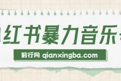 小红书暴力音乐号实操课程，零基础玩转流量变现，单号月入5000+