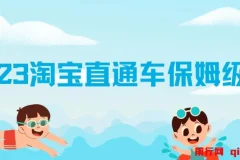 2023淘宝直通车保姆级教程：新手从0快速成长实操，多方位全能教学